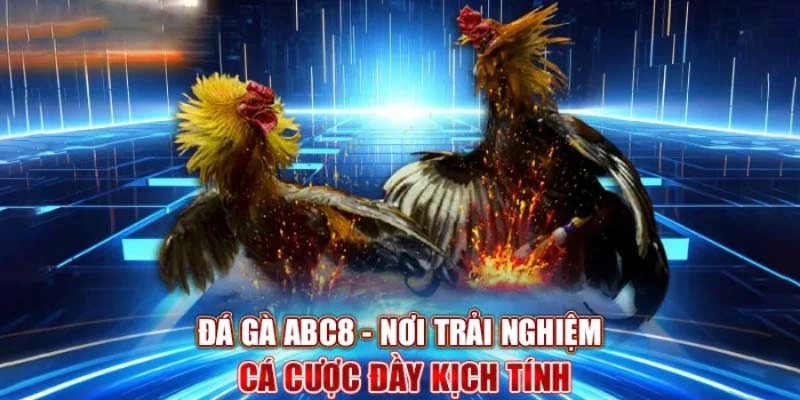 Kinh nghiệm chơi đá gà hiệu quả